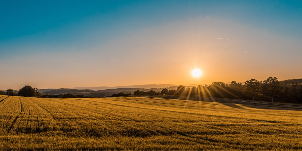 Vitamin D: The Supplement Almost Everyone Should Consider